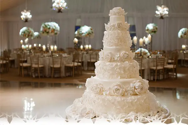 Audrey-Orga — photo 4