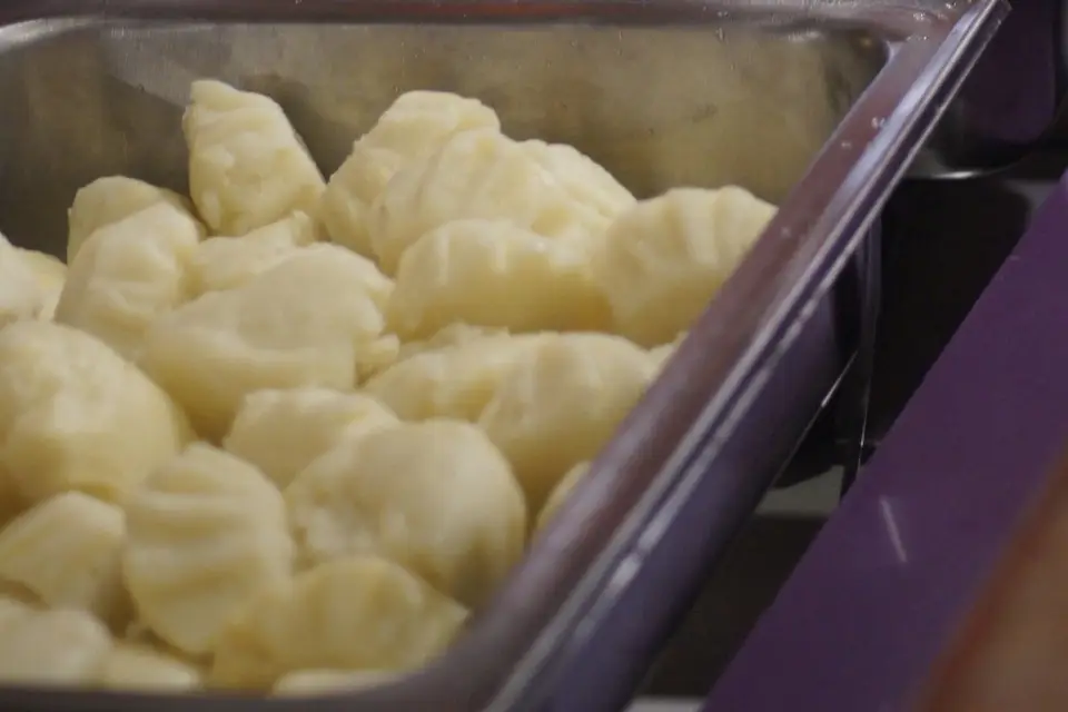 Instinct dafrique — photo 4