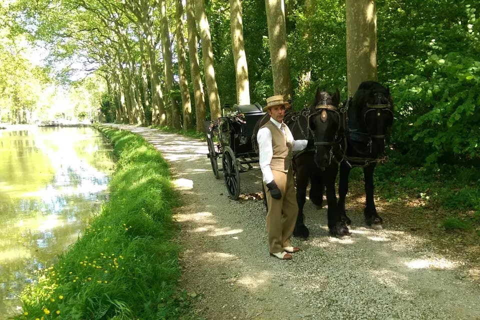 Attelages Eric de Mailly — photo 5