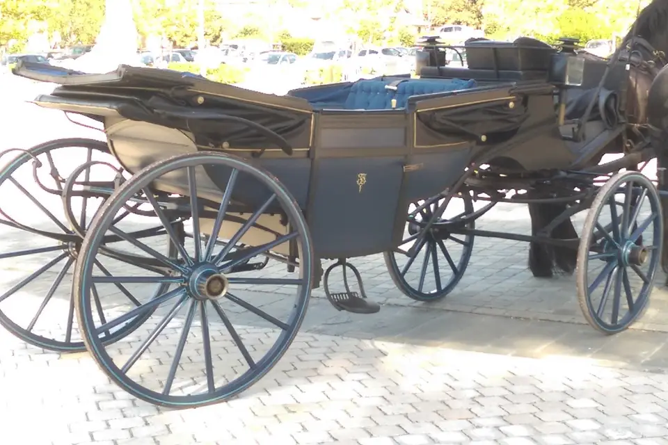 Attelages Eric de Mailly — photo 3