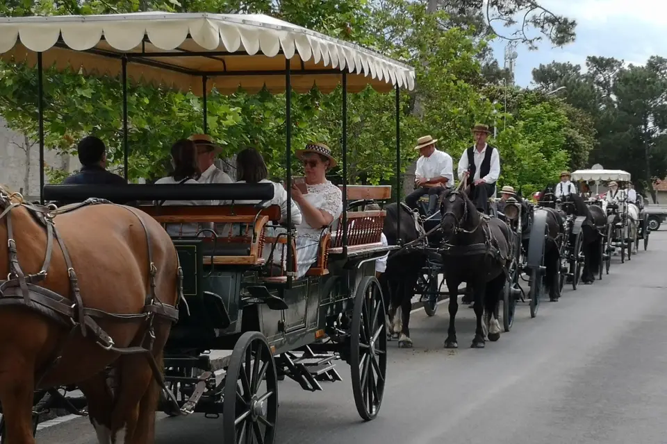 Attelages Eric de Mailly — photo 4