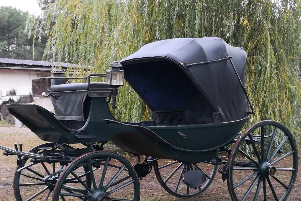 Attelages Eric de Mailly — photo 6