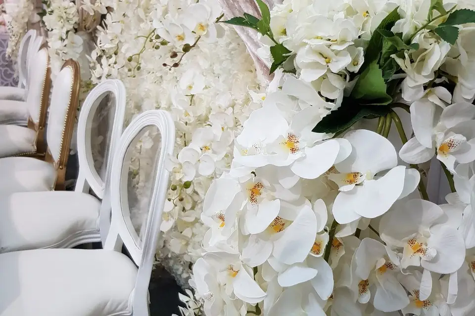 Enjoya Events — photo 2