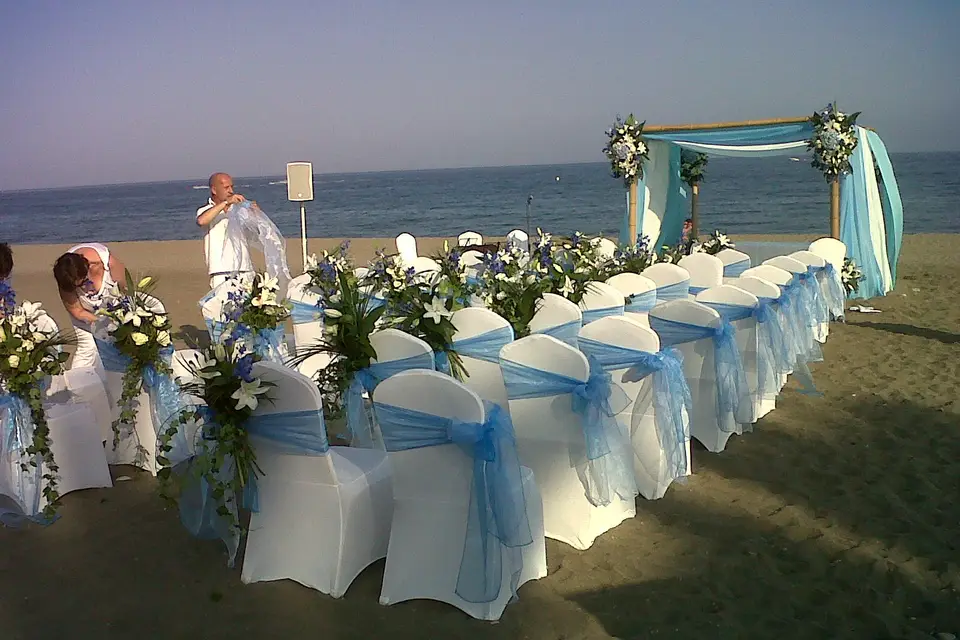 Organisation Marbella — photo 8