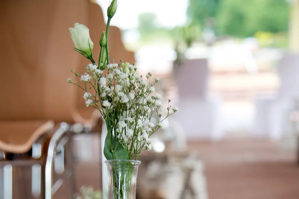 Valérie Degen — photo 5