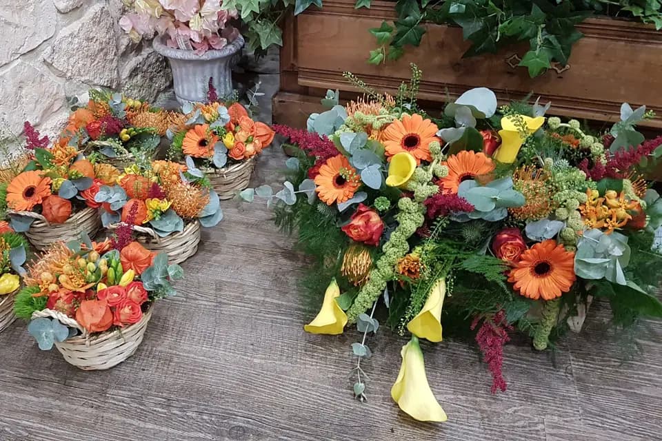 Autour d'une fleur — photo 3