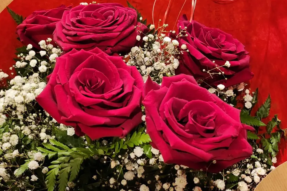 Liaam Event — photo 5