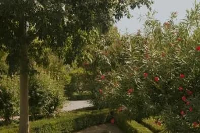 Domaine de Truilhas — photo 1