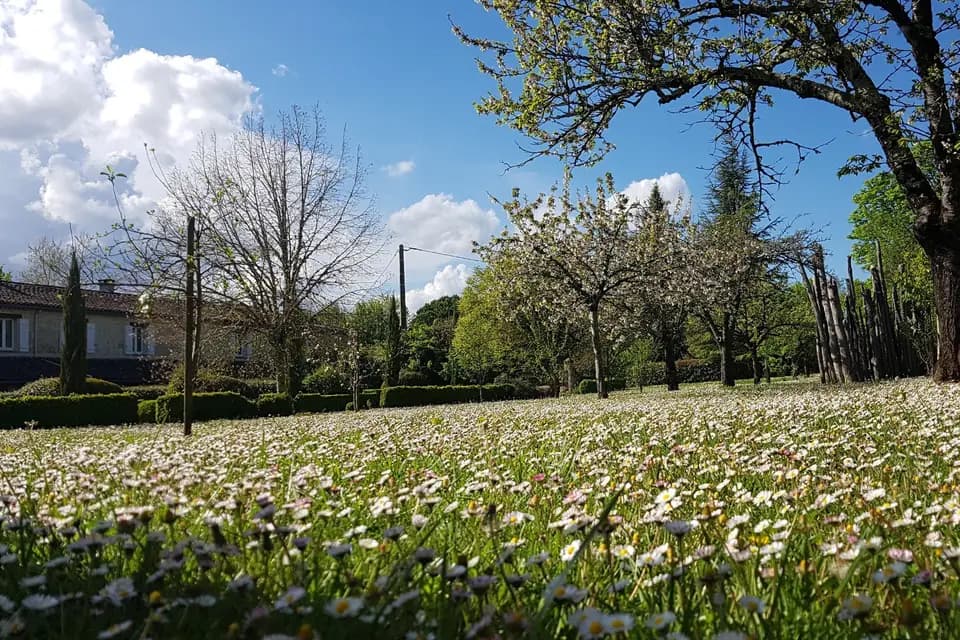 Le Domaine de la Brette — photo 7