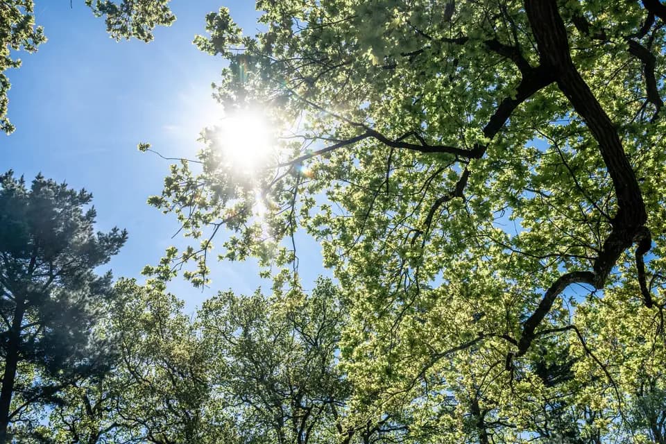 Le Manoir de la Plume — photo 2