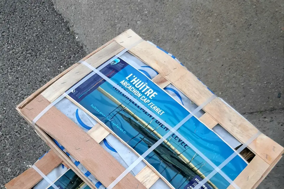 Olivoysters — photo 4