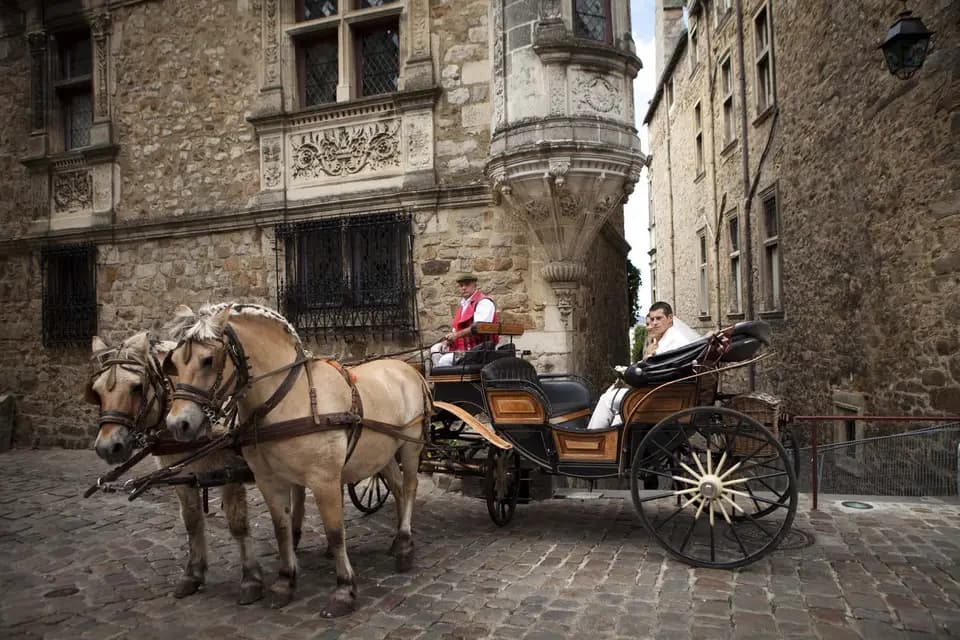 Solartis Events — photo 6