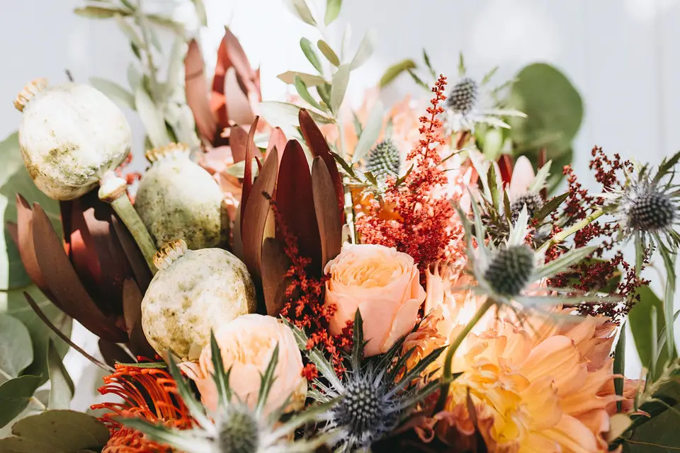 L'Herbe Folle — photo 2