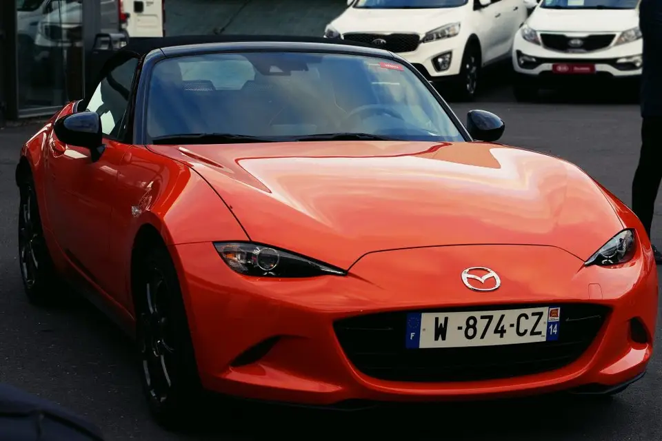 Bidule le Magicien — photo 1