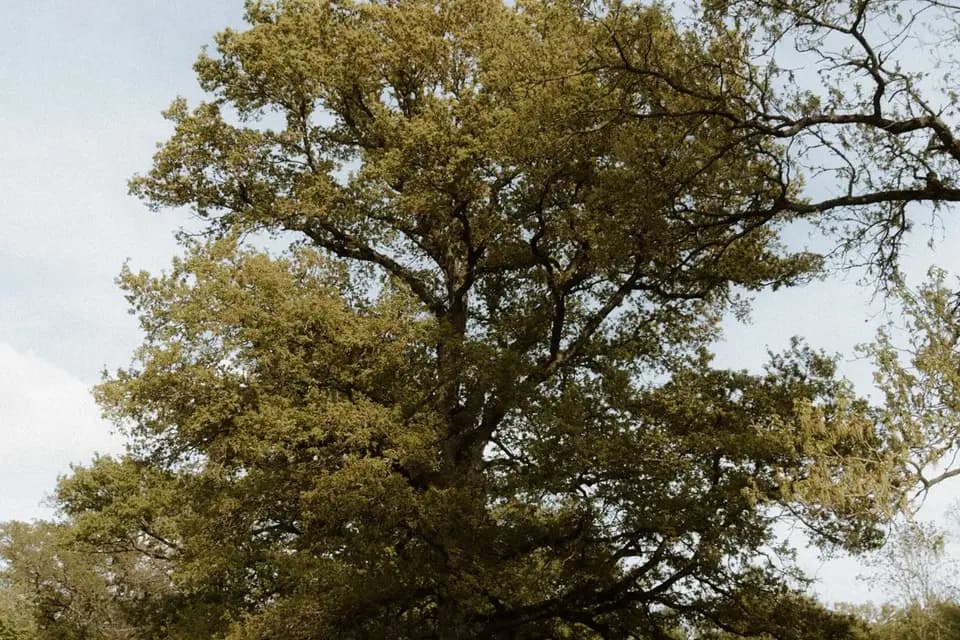 Clémence Catherine — photo 3