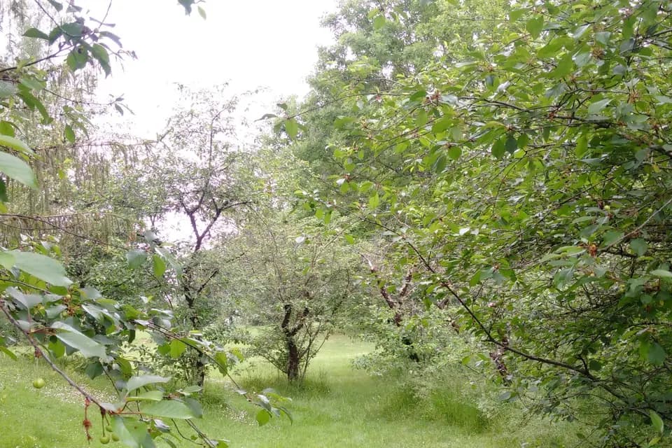 Les Lauriers de la Bastide — photo 8