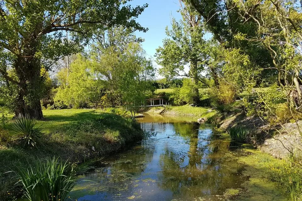 Les Lauriers de la Bastide — photo 9