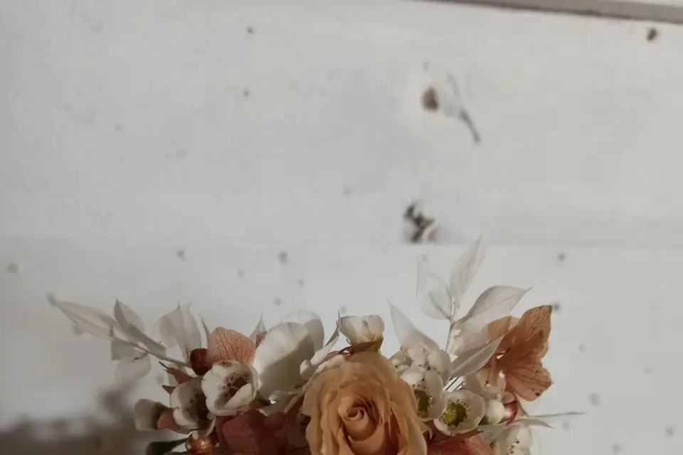 Tulipe Sauvage — photo 4