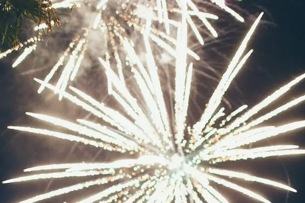 Vosges Artifices — photo 4