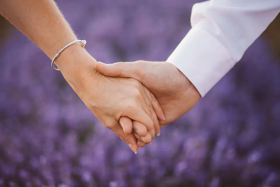 Colibri Studio — photo 3