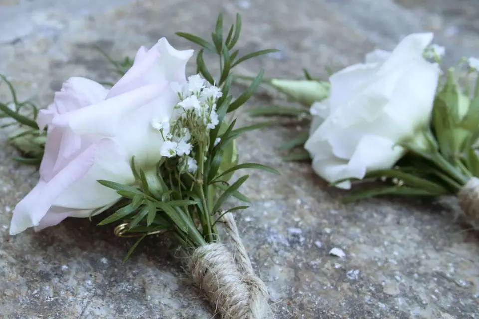 Studio Kurashi — photo 6