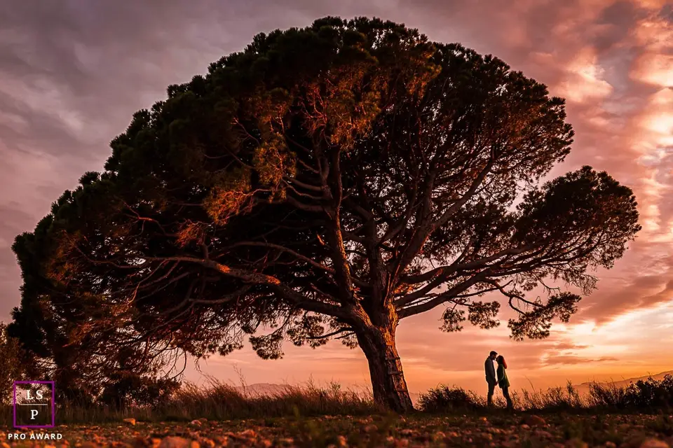 Olivier Bolte — photo 3