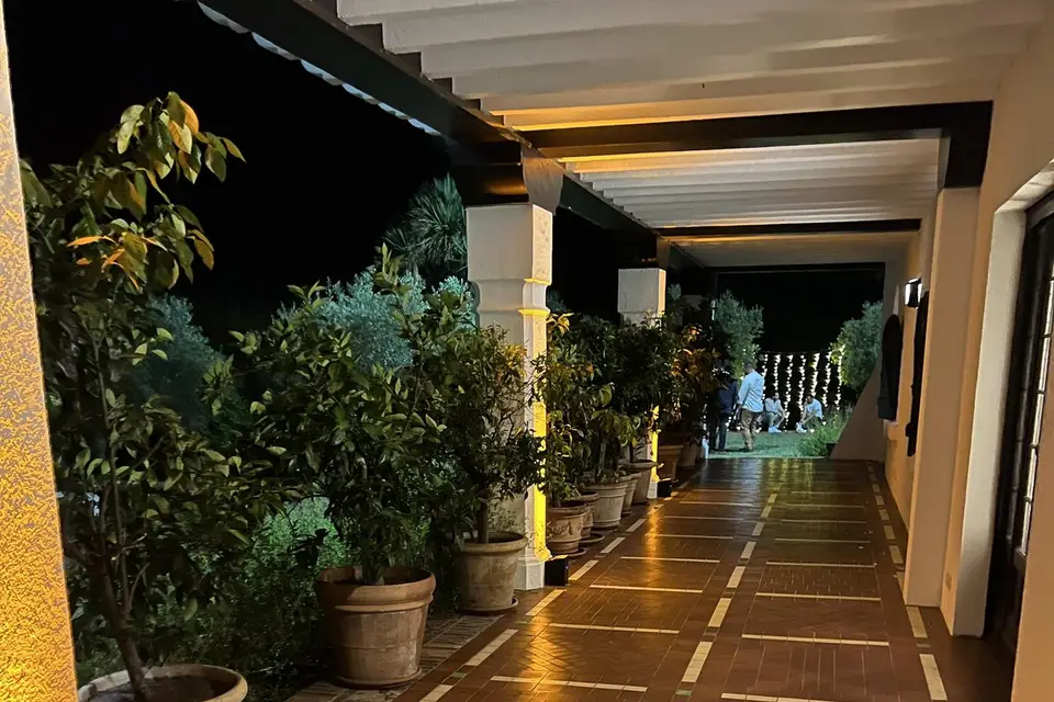 Ray Djis — photo 8