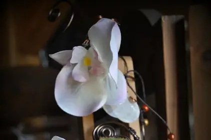 Atelier Cré'à Sion — photo 6