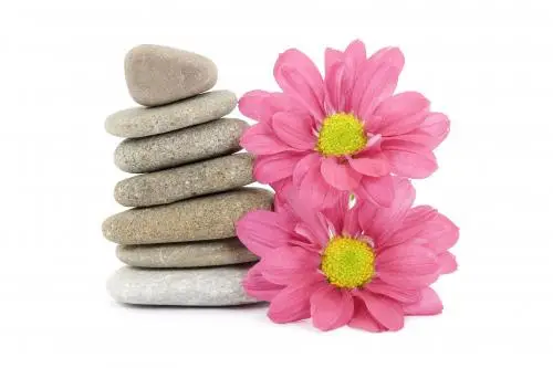 O Graine de Beauté — photo 1