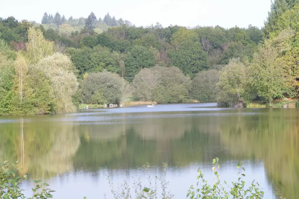 Yoann Dagorne — photo 4