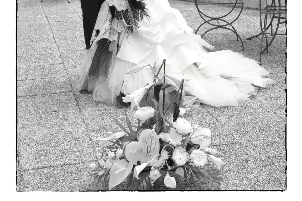 Helve Photo — photo 7