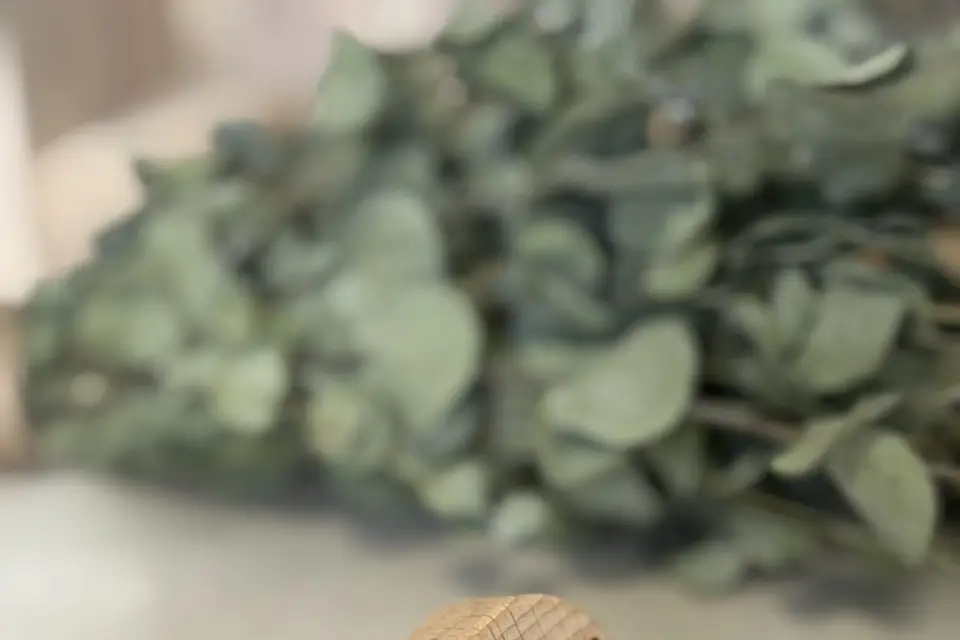 Atelier Graines d’Émotions — photo 2