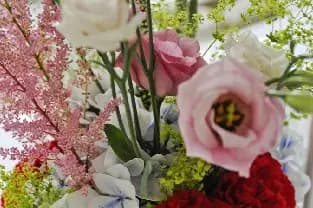 La Mélodie du bonheur — photo 1