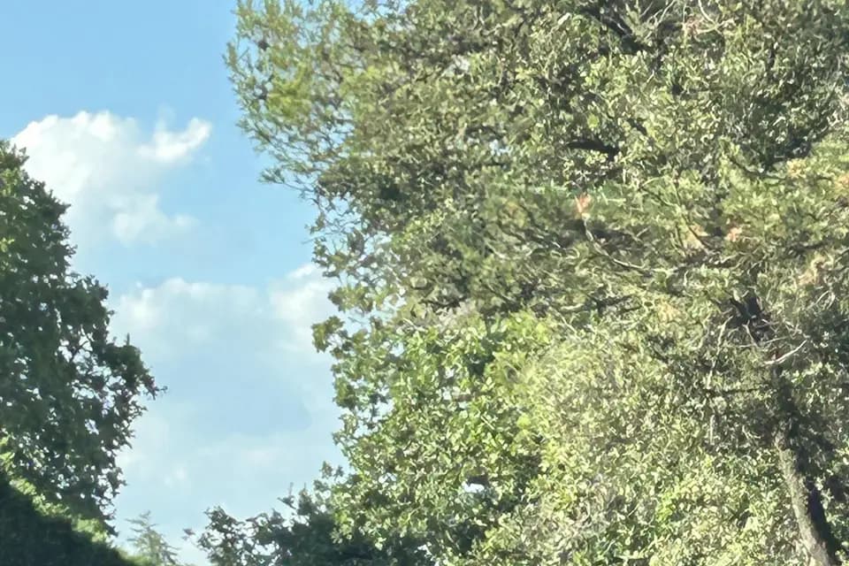 Kiss And Plan — photo 5