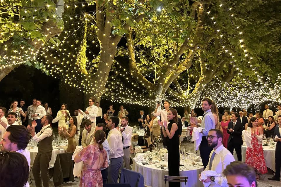 Kiss And Plan — photo 3