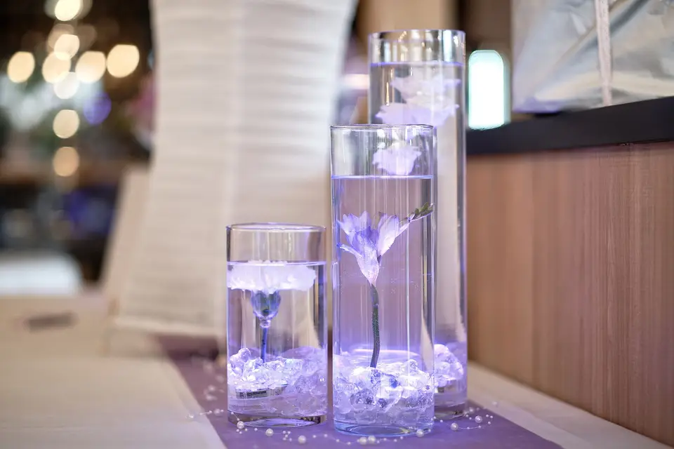 Anca Grasser — photo 2