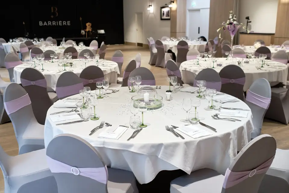 Anca Grasser — photo 6