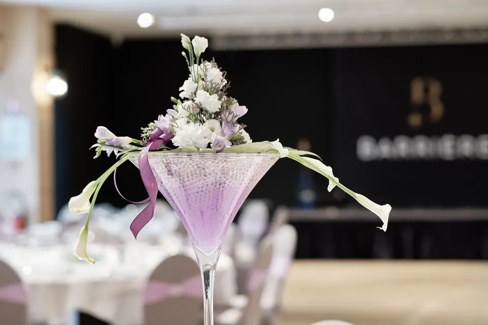 Anca Grasser — photo 4