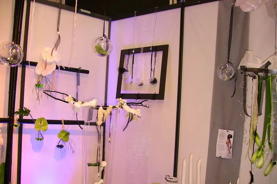 Instant Magique — photo 4