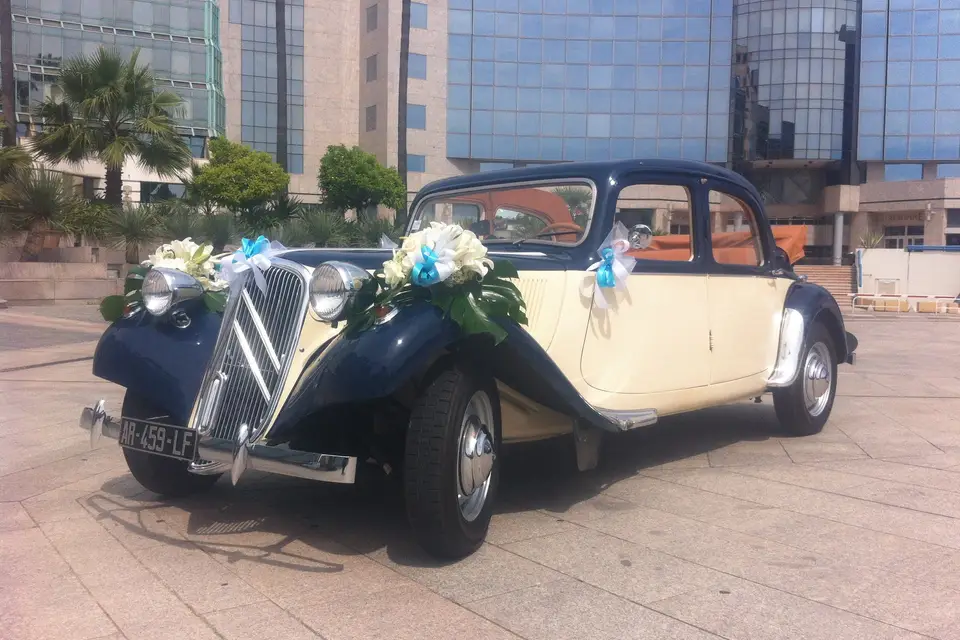 Sunny Days Prestige Travel — photo 7