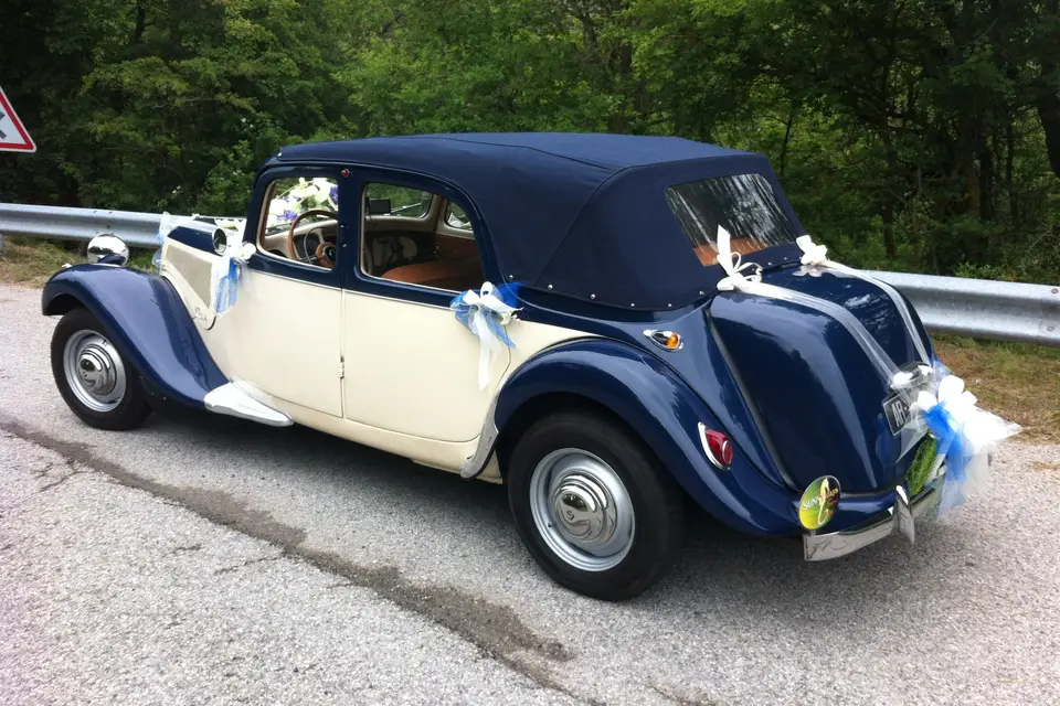 Sunny Days Prestige Travel — photo 8