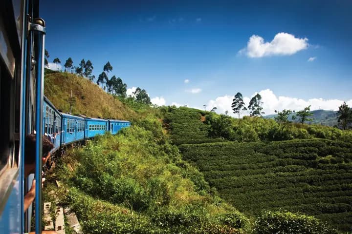 Au Coeur du Voyage — photo 5