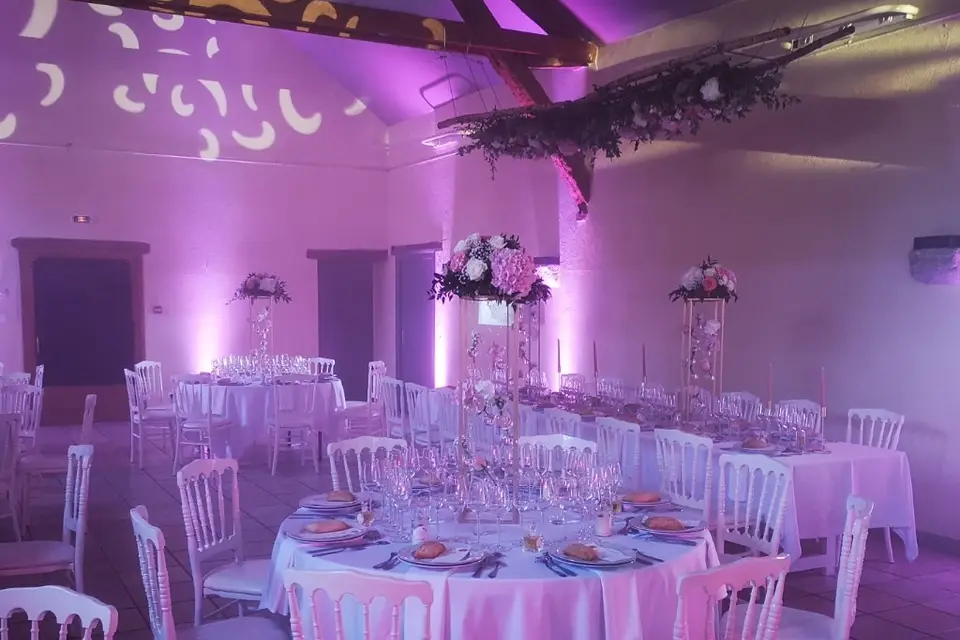 PFL Events — photo 8