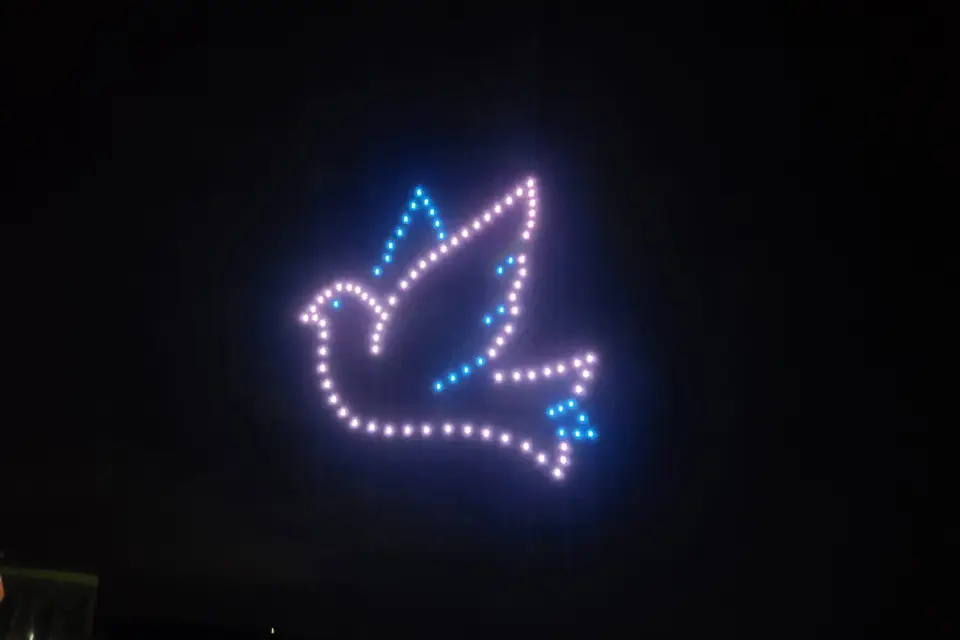 Steloris Spectacle de Drones — photo 5