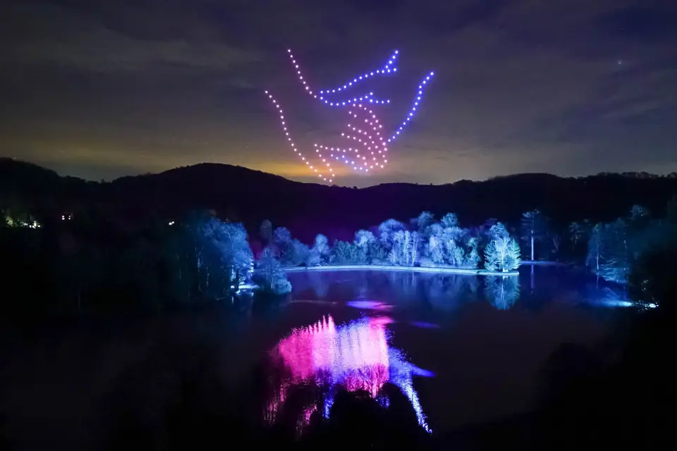 Steloris Spectacle de Drones — photo 8