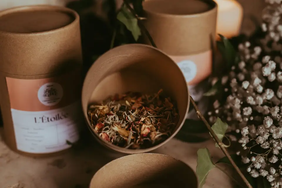 Maison Arborescence — photo 7