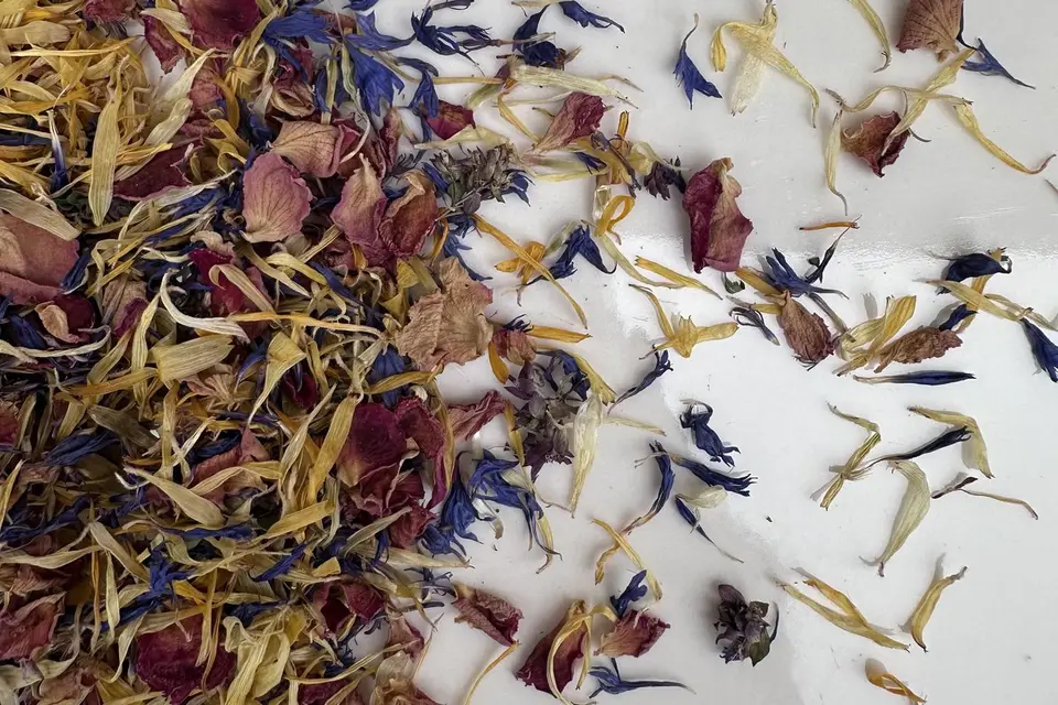 Maison Arborescence — photo 4