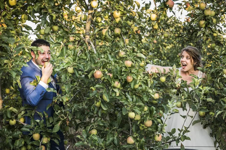 Atout Pict' — photo 7