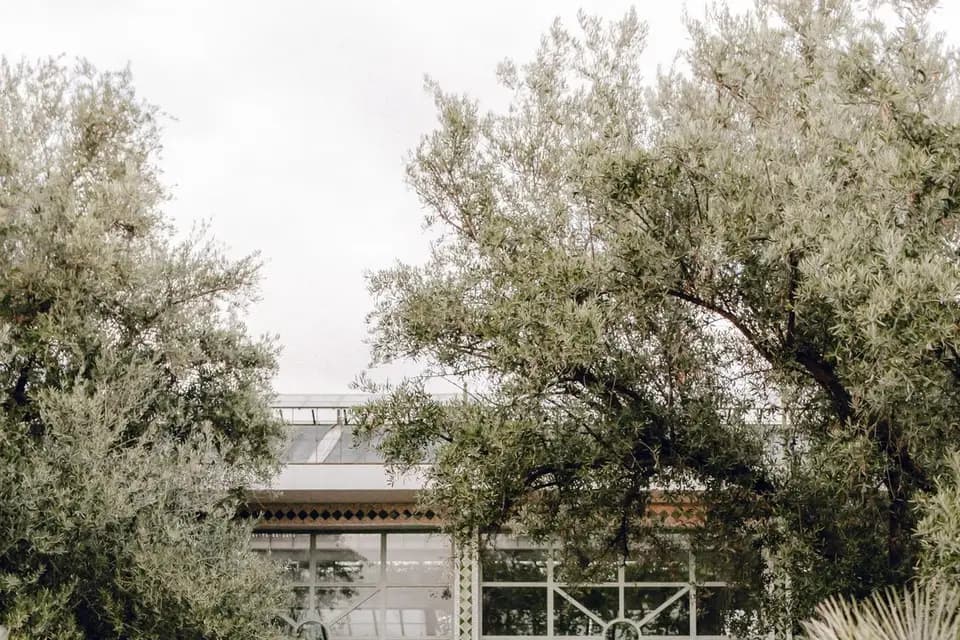 Mehdi Mounir — photo 6