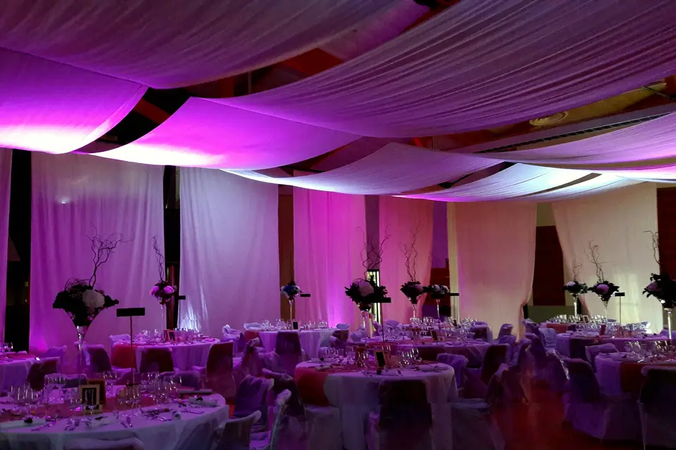 La Compagnie des Elfes — photo 6